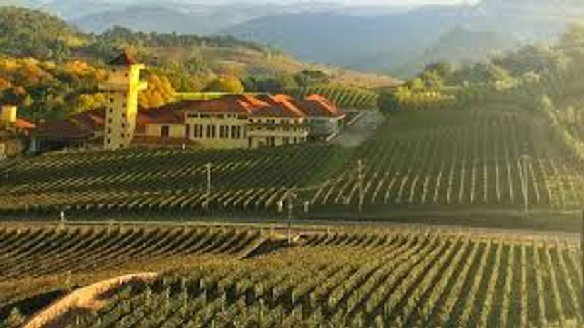 Vale dos Vinhedos